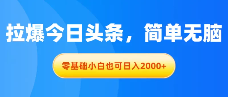 拉爆今日头条,简单无脑,零基础小白也可日入2000+-创业项目网