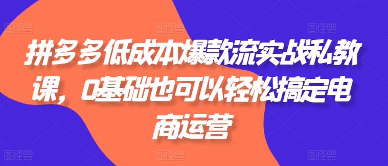 拼多多低成本爆款流实战私教课，0基础也可以轻松搞定电商运营-创业项目网