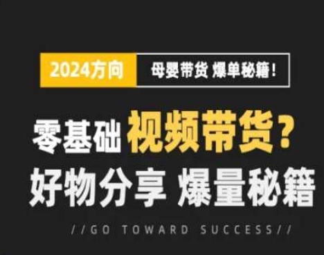 短视频母婴赛道实操流量训练营，零基础视频带货，好物分享，爆量秘籍-创业项目网
