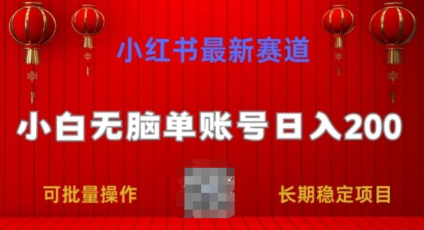 小红书最新赛道，小白无脑单账号日入200，长期稳定项目-创业项目网