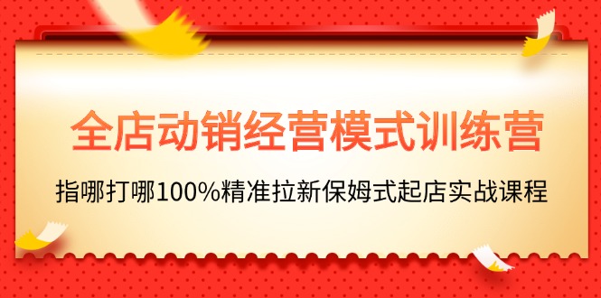 全店动销-经营模式训练营，指哪打哪100%精准拉新保姆式起店实战课程-创业项目网