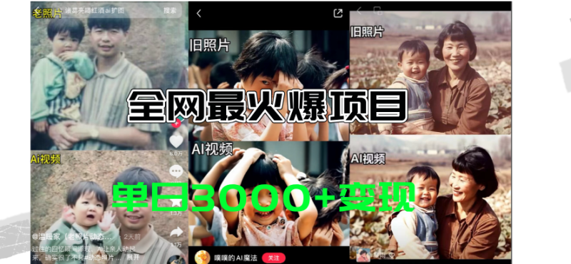 全网爆火的AI让老照片动起来教程,蹭热点日赚3000+,内含免费工具一键生成-创业项目网
