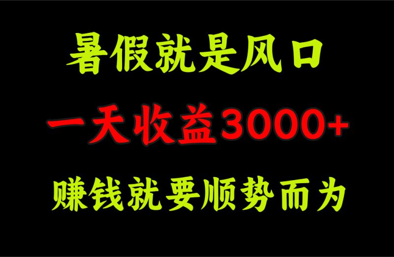 一天收益3000+ 赚钱就是顺势而为,暑假就是风口-创业项目网