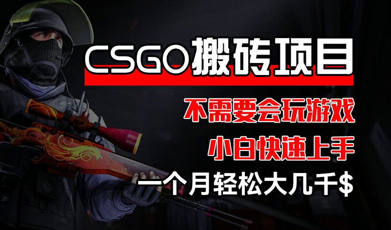 CSGO 装备搬砖项目，操作简单，不需要会玩游戏，小白也能快速上手，一个月轻松大几千-创业项目网