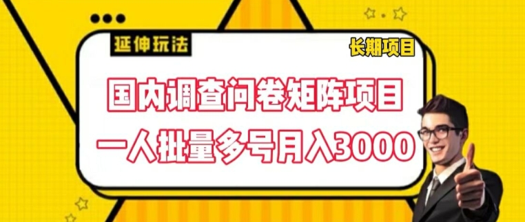 国内调查问卷矩阵项目，一人批量多号月入3000-创业项目网