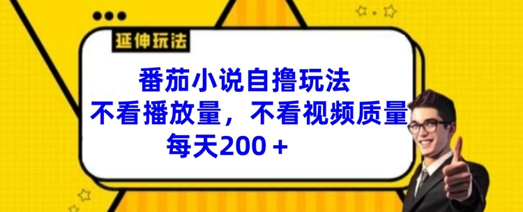 番茄小说自撸玩法，不看播放量，不看视频质量，每天200+-创业项目网