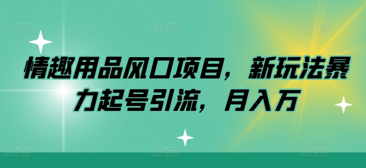 情趣用品风口项目，新玩法暴力起号引流，月入万元-创业项目网