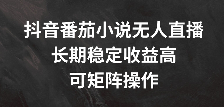 抖音番茄小说无人直播，长期稳定收益高，可矩阵操作-创业项目网