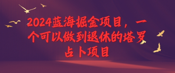 2024蓝海掘金项目，一个可以做到退休的塔罗占卜项目-创业项目网
