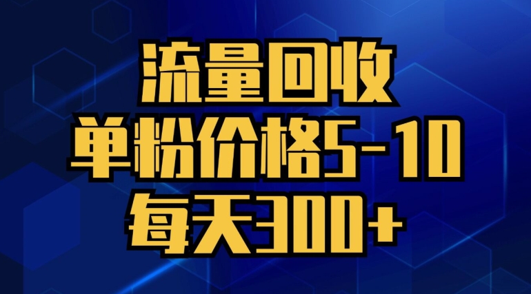流量回收，单粉价格5-10，每天300+，轻松月入五位数-创业项目网