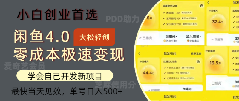 闲鱼0成本极速变现项目,多种变现方式 单号日入500+最新玩法-创业项目网