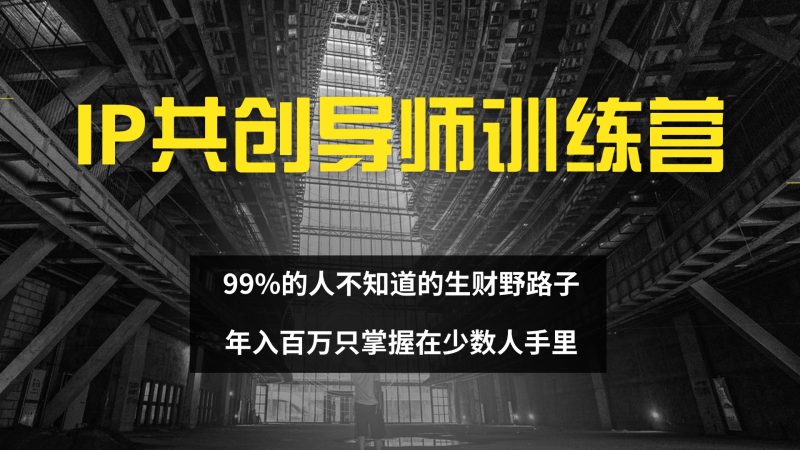 IP共创导师训练营 99%的人不知道的生财野路子 只掌握在少数人手里-创业项目网