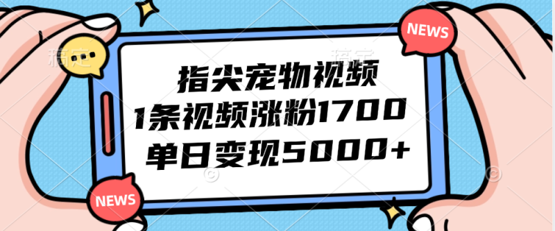 指尖宠物视频，1条视频涨粉1700，单日变现5000+-创业项目网