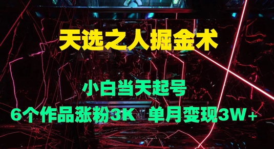 天选之人掘金术，小白当天起号，6个作品涨粉3000+，单月变现3w+-创业项目网