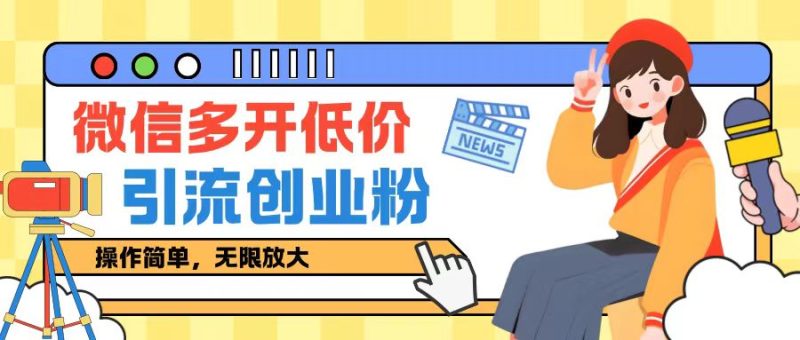 闲鱼卖低价微信多开加引流创业粉玩法,操作简单,无限放大-创业项目网
