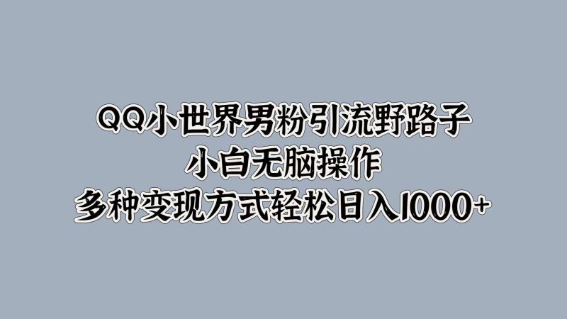 QQ小世界男粉引流野路子,小白无脑操作,多种变现方式-创业项目网