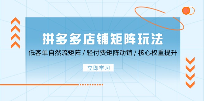 拼多多店铺矩阵玩法：低客单自然流矩阵 / 轻付费矩阵 动销 / 核心权重提升-创业项目网