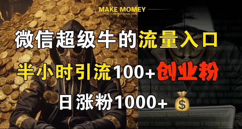 微信超级牛的流量入口，半小时引流100+创业粉，日涨粉1000+-创业项目网