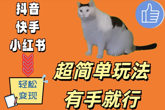 超简单玩法，有手就行，靠猫咪视频日入500+-创业项目网