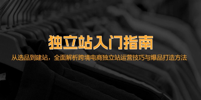 独立站入门指南：从选品到建站，全面解析跨境电商独立站运营技巧与爆品打造方法-创业项目网