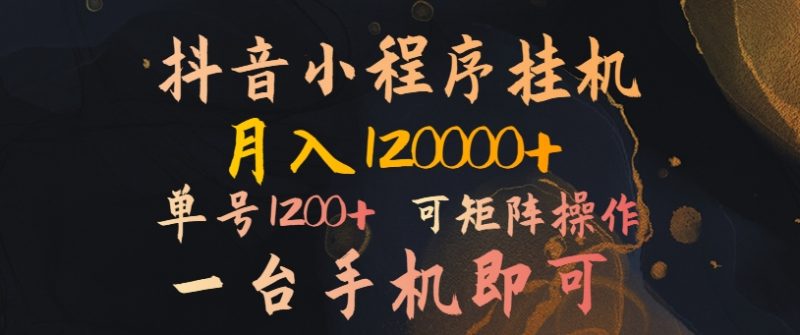 抖音小程序挂机风口项目,月入1.2w,一台手机即可操作,可矩阵操作-创业项目网