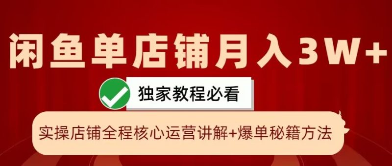 闲鱼单店铺月入3W+实操展示,爆单核心秘籍,一学就会-创业项目网