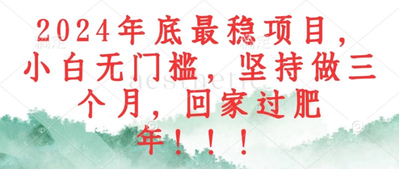 2024年底最稳项目，小白无门槛，坚持做三个月，回家过肥年-创业项目网