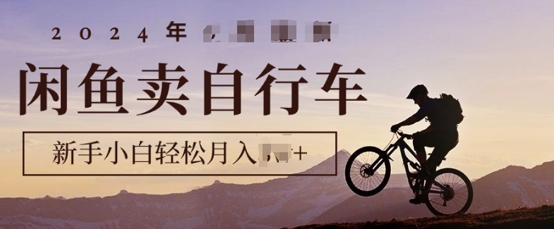 骑行圈的秘密之我在闲鱼卖自行车，项目门槛低，0成本就可以操作-创业项目网