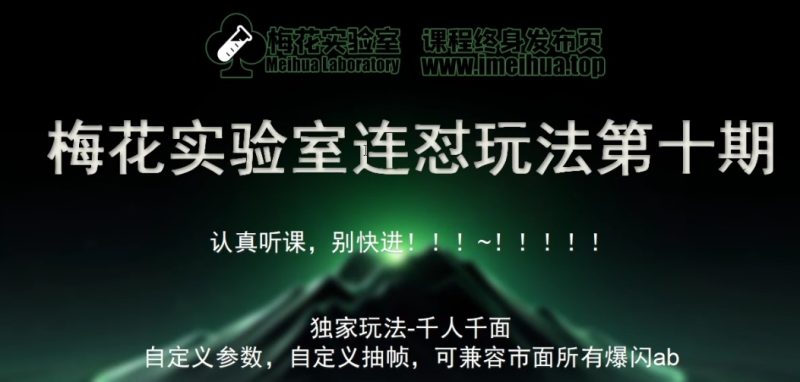 梅花实验室社群专享课视频号连怼玩法第十期课程+第二部分-FF助手全新高自由万能爆闪AB处理-创业项目网