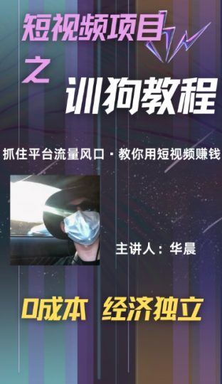 (训狗教程)训狗教学项目，详细教程讲解，月入1w+-创业项目网