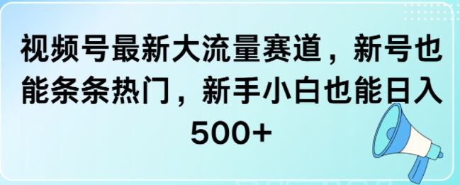 视频号最新大流量赛道，新号也能条条热门，新手小白也能日入500+-创业项目网