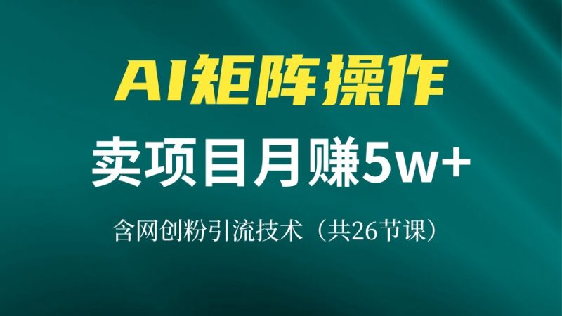 网创IP打造课，借助AI卖项目月赚5万+，含引流技术（共26节课）-创业项目网