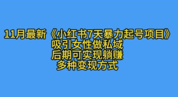 11月最新小红书7天暴力起号项目，吸引女性做私域-创业项目网