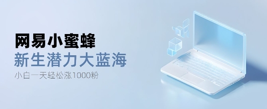 网易小蜜蜂，最新大蓝海项目，单日轻松日涨千粉-创业项目网