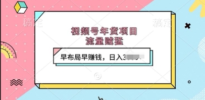 视频号年货项目，流量贼猛，早布局早挣钱，日入上k-创业项目网