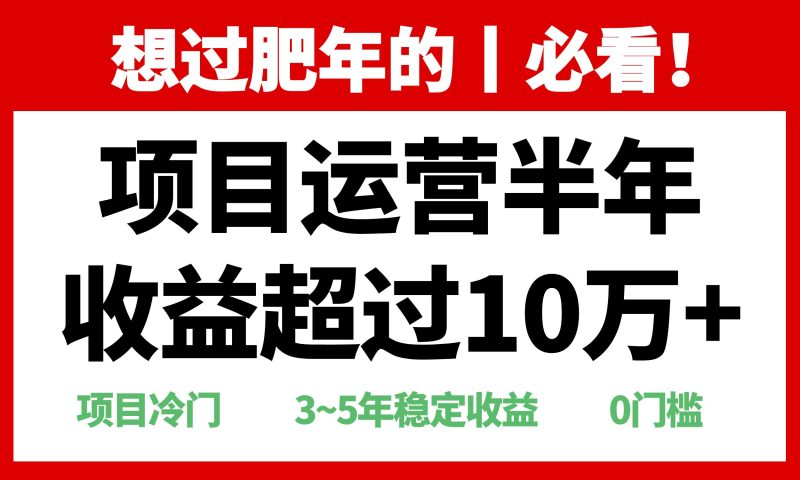 年前过肥年的必看的超冷门项目,半年收益超过10万+-创业项目网