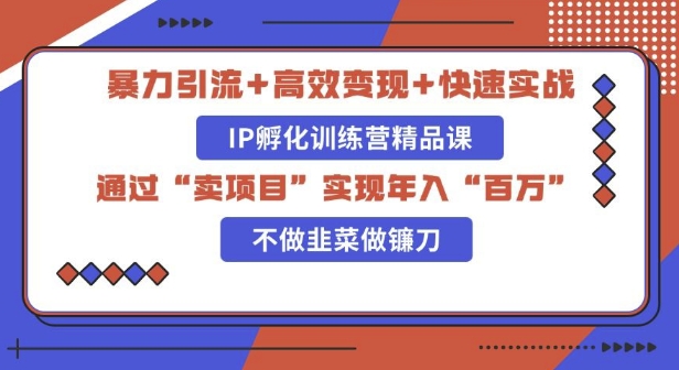 知识付费独家玩法：精准引流+高效变现，简单复制成功模式，最新IP共创导师训练营玩法-创业项目网