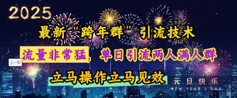 最新“跨年群”引流，流量非常猛，单日引流两人满人群，立马操作立马见效-创业项目网