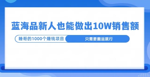 这个蓝海品，新号也能卖出10W的销售额，年底疯狂怼量就能出结果-创业项目网