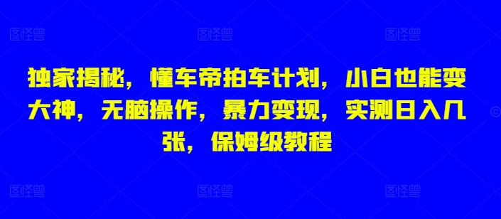 独家揭秘，懂车帝拍车计划，小白也能变大神，无脑操作，暴力变现，实测日入几张，保姆级教程-创业项目网