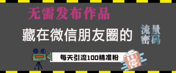 藏在微信朋友圈的流量密码，无需发布作品，单日引流100+精准创业粉-创业项目网