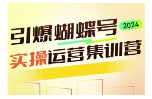 引爆蝴蝶号实操运营，助力你深度掌握蝴蝶号运营，实现高效实操，开启流量变现之路-创业项目网