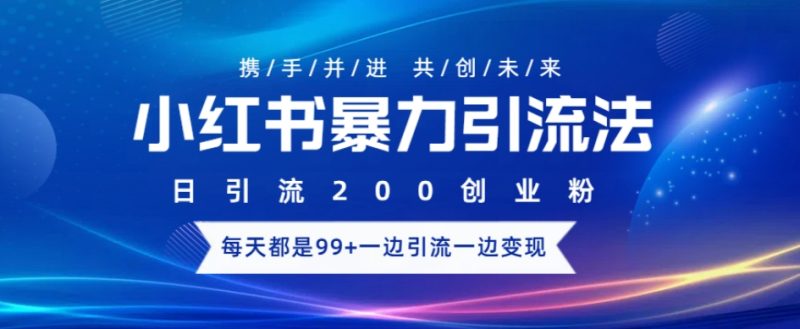 小红书暴力引流法，日引200精准创业粉，每天都是99+，边引流一边变现-创业项目网