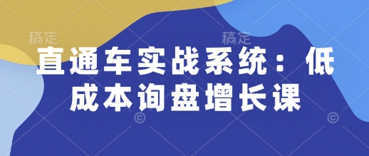 通车实战系统：低成本询盘增长课，让个人通过技能实现升职加薪，让企业低成本获客，订单源源不断-创业项目网