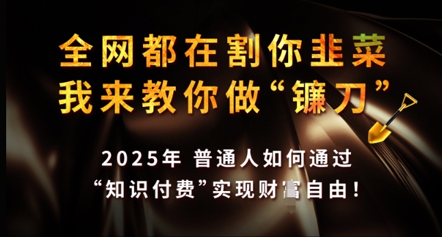 全网都在割你韭菜，我来教你做镰刀，2025年普通人如何通过 知识付费 实现财务自由-创业项目网