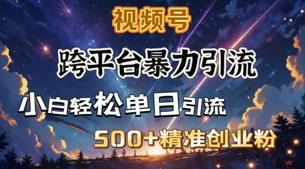 跨平台暴力引流，私域完美闭环，日引500+精准创业粉-创业项目网