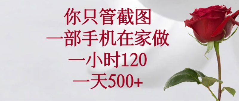 你只管截图,一部手机在家做,一小时120,一天500+-创业项目网