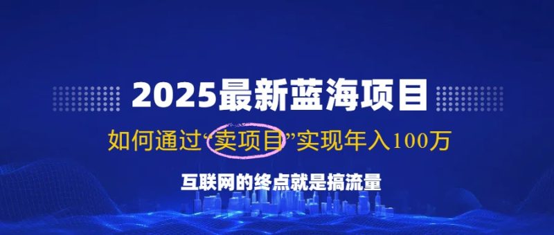 2025最新蓝海项目,零门槛轻松复制,月入10万+,新手也能操作-创业项目网
