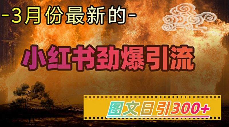 小红书超劲爆引流手段,图文日引300+轻松变现1W-创业项目网