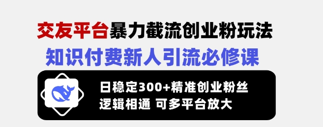 交友平台暴力截流创业粉玩法，知识付费新人引流必修课，日稳定300+精准创业粉丝，逻辑相通可多平台放大-创业项目网